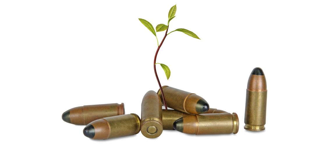 Sapling growing from shells
