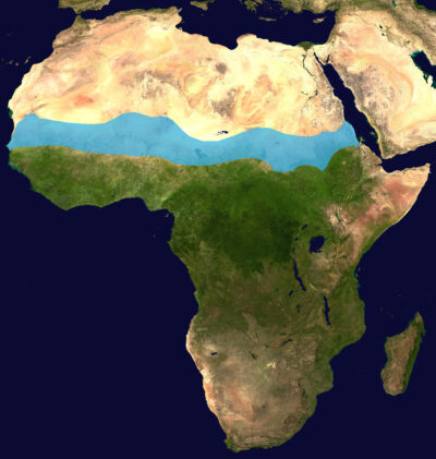 Sahel_orthographic_map